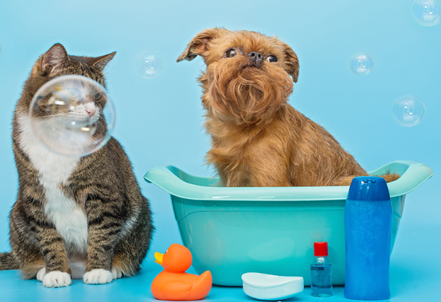 Venta de empresa de productos de higiene para mascotas